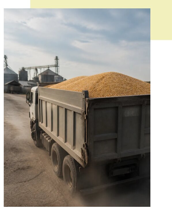 Перевозка сельхозпродукции навалом в Благовещенск по цене от 3047 р. | Агросервис-Бгн