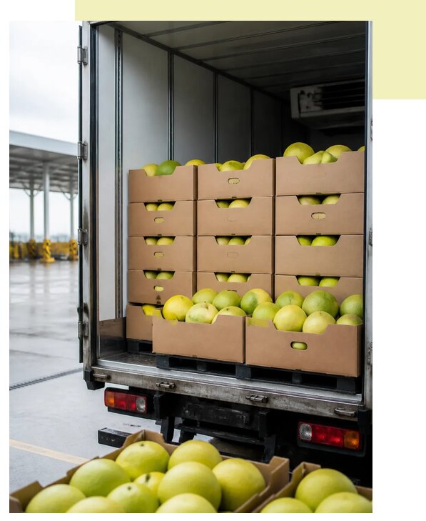 Перевозка помело рефрижератором в Благовещенск по цене от 5079 р. | Агросервис-Бгн